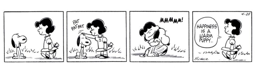 Happiness Is A Warm Puppy